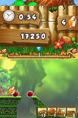 Crazy Hamster (DS) image