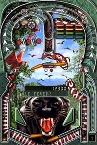 Crazy Pinball (DS) image