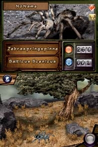 Discovery Kids: Spider Quest (DS) image