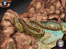 Discovery Kids: Snake Safari (DS) image