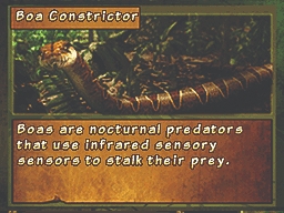 Discovery Kids: Snake Safari (DS) image