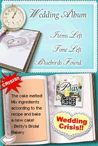 Dream Day: Wedding Destinations (DS) image