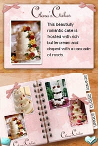 Dream Day: Wedding Destinations (DS) image