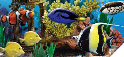 Fish Tycoon (DS) image