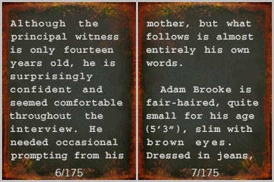 Flips: More Bloody Horowitz (DS) image