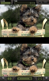 Foto Frenzy: Spot the Difference (DS) image