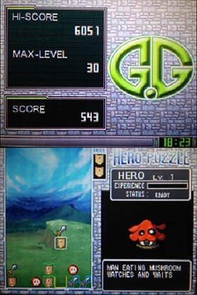 G.G Series: Hero Puzzle (DS) image