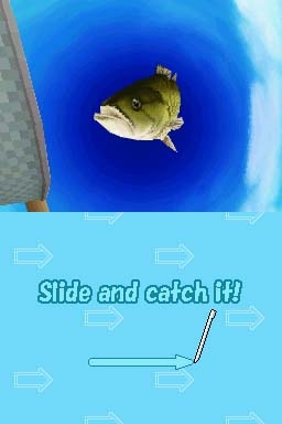 GO Series: Fishing Resort (DS) image