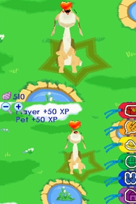 GoPets: Vacation Island (DS) image
