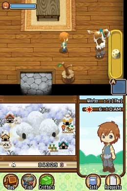 Harvest Moon: The Tale of Two Towns (DS) image