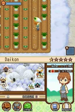 Harvest Moon: The Tale of Two Towns (DS) image