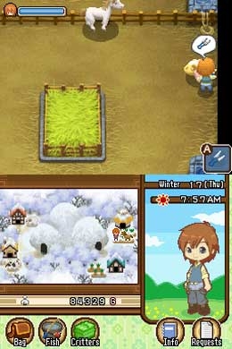 Harvest Moon: The Tale of Two Towns (DS) image