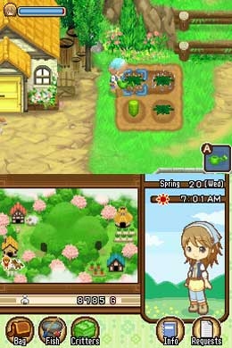 Harvest Moon: The Tale of Two Towns (DS) image