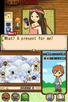 Harvest Moon: The Tale of Two Towns (DS) image