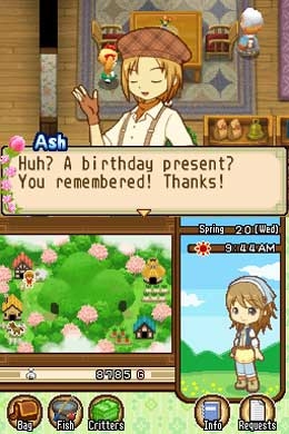 Harvest Moon: The Tale of Two Towns (DS) image