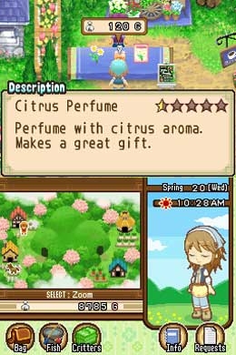 Harvest Moon: The Tale of Two Towns (DS) image