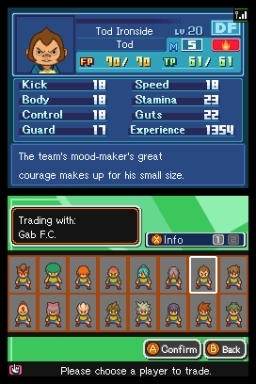 Inazuma Eleven (DS) image