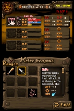 The Lost Town: The Jungle (DS) image