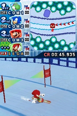 Mario & Sonic at the Winter Olympic Games (DS) image
