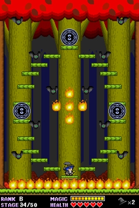 Magical Whip: Wizards of Phantasmal Forest (DS) image