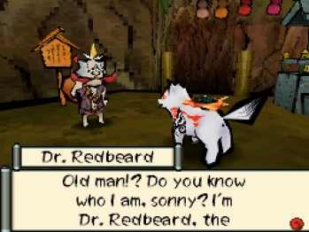 Okamiden (DS) image