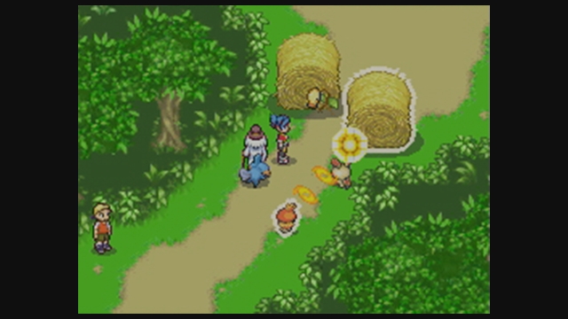 Pok�mon Ranger (DS) image