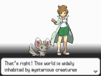 Pokmon White Version (DS) image