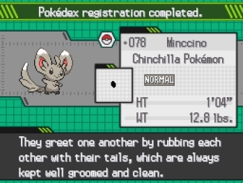 Pokmon White Version (DS) image