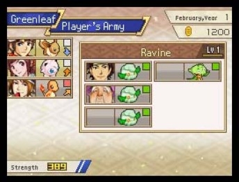 Pokmon Conquest (DS) image