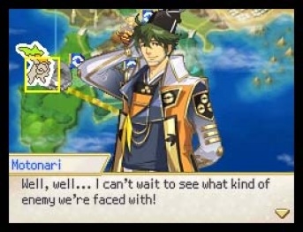 Pokmon Conquest (DS) image