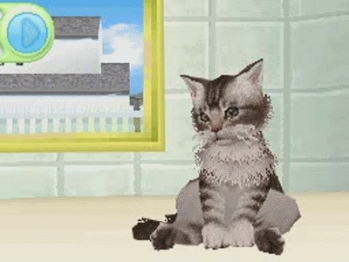Petz: Catz Family (DS) image