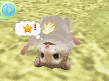 Petz: Hamsterz Family (DS) image
