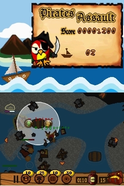 Pirates Assault (DS) image