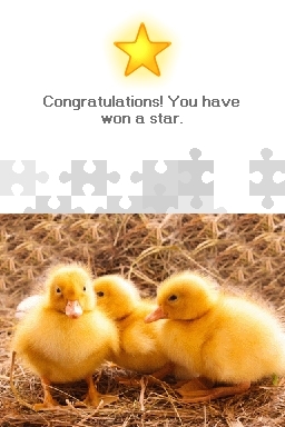 Puzzle to Go: Baby Animals (DS) image