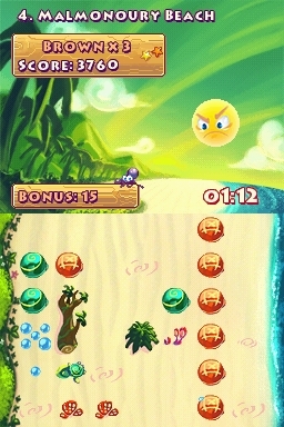 Save the Turtles (DS) image
