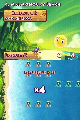 Save the Turtles (DS) image