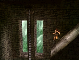Tomb Raider: Underworld (DS) image