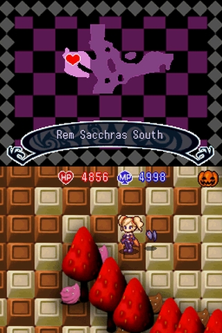 A Witch's Tale (DS) image