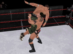 WWE SmackDown vs. Raw 2009 (DS) image