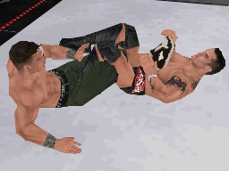 WWE SmackDown vs. Raw 2009 (DS) image