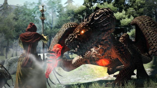 Dragon's Dogma image