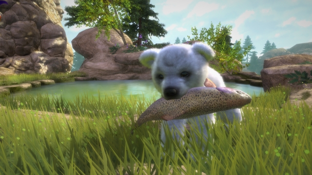 Kinectimals: Now With Bears! (Xbox 360) image