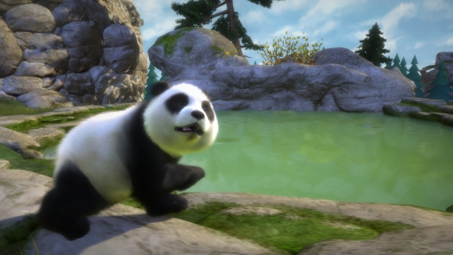 Kinectimals: Now With Bears! (Xbox 360) image