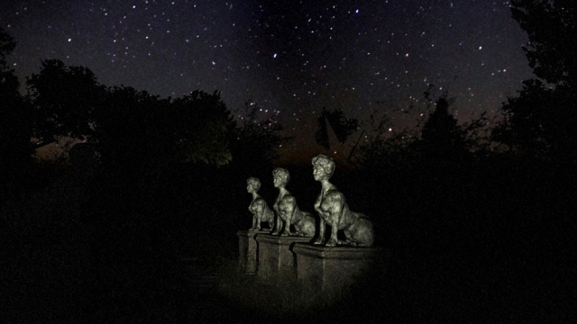 White Noise: A tale of Horror (Xbox 360) image