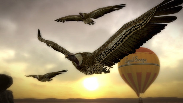 Afrika (PlayStation 3) image