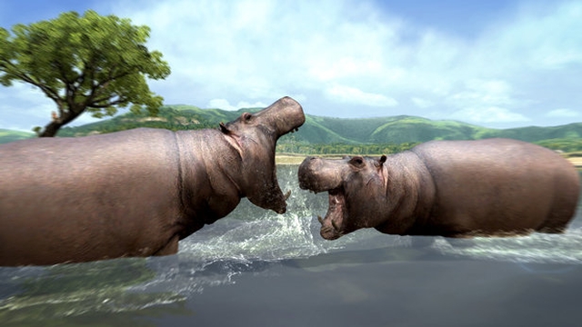 Afrika (PlayStation 3) image