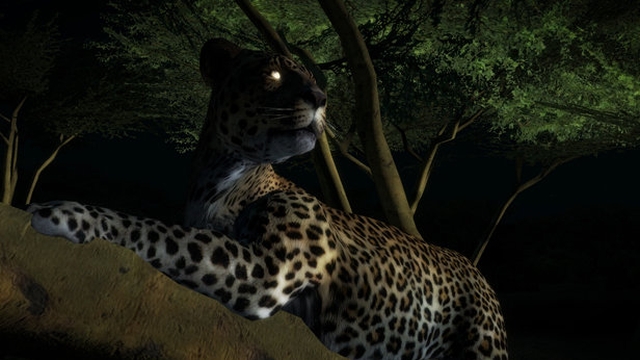 Afrika (PlayStation 3) image
