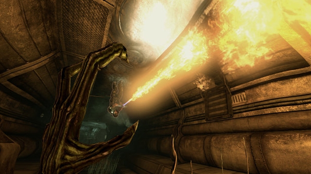 Aliens vs Predator (PlayStation 3) image