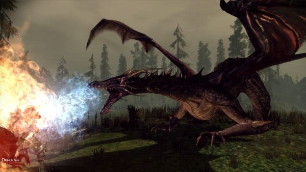 Dragon Age: Origins (PlayStation 3) image