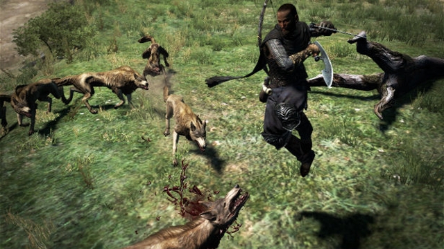 Dragon's Dogma (PlayStation 3) image